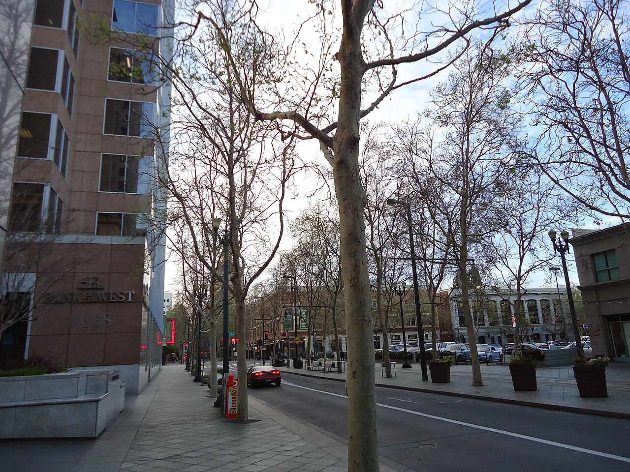 Tree-lined sidewalks and a downtown San Jose street with a car, storefronts and streetlights.